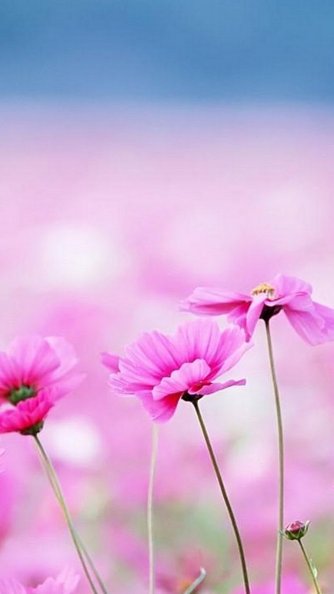 Cute Hd Wallpapers For Android With High-resolution - Free Wallpaper For Android Flowers , HD Wallpaper & Backgrounds