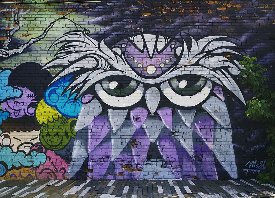 Owl Wall Mural, Purple Owl Graffiti Photograph, Wallpaper, - Street Art , HD Wallpaper & Backgrounds