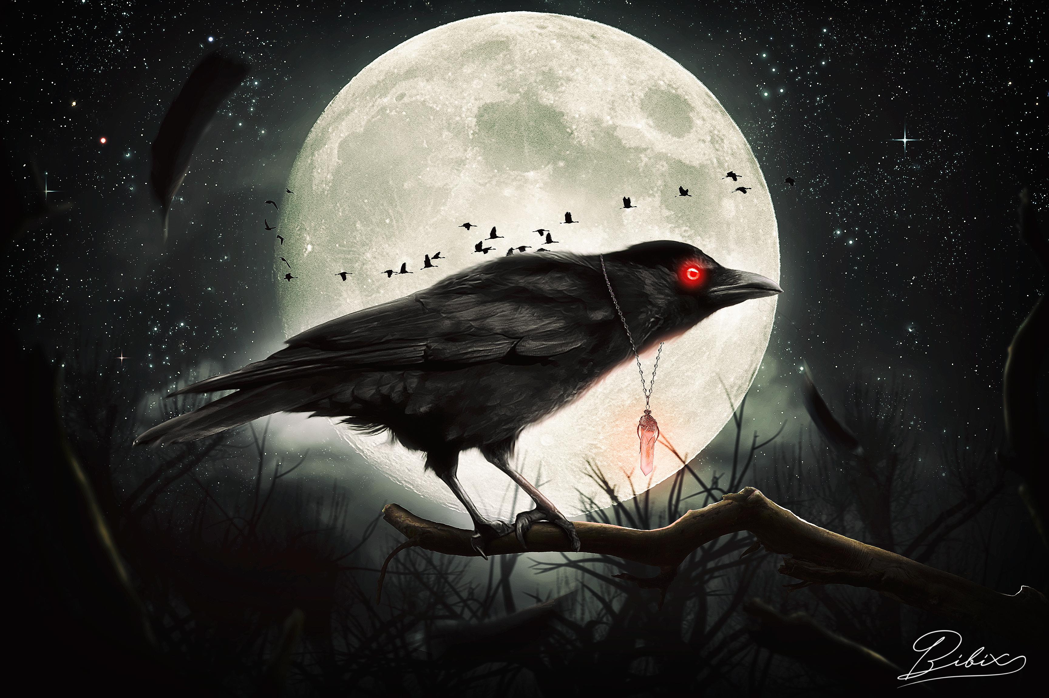 Photo Wallpaper Night, Gothic, The Moon, Raven, By - Dark Wallpaper Raven , HD Wallpaper & Backgrounds