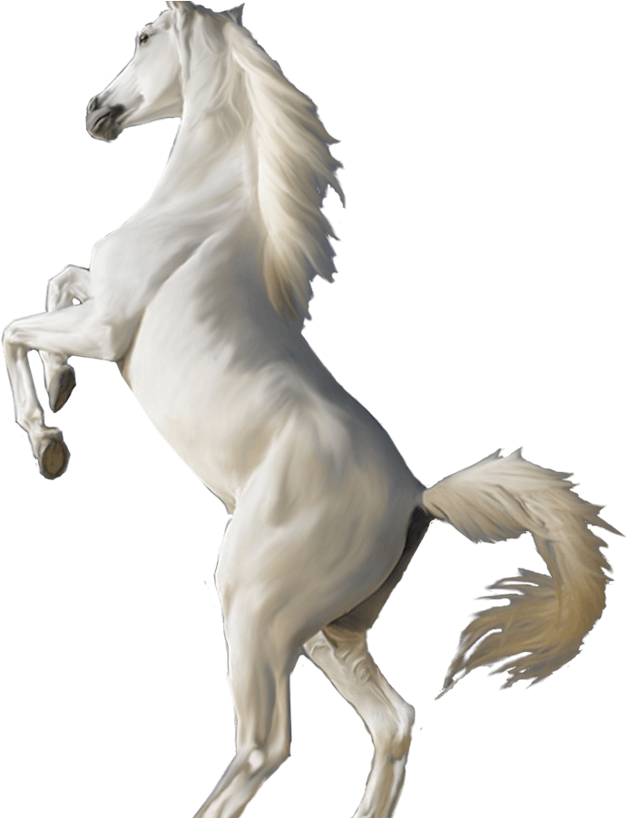 3d White Horse Standing Hd Wallpapers Download For - Horse With White Background , HD Wallpaper & Backgrounds