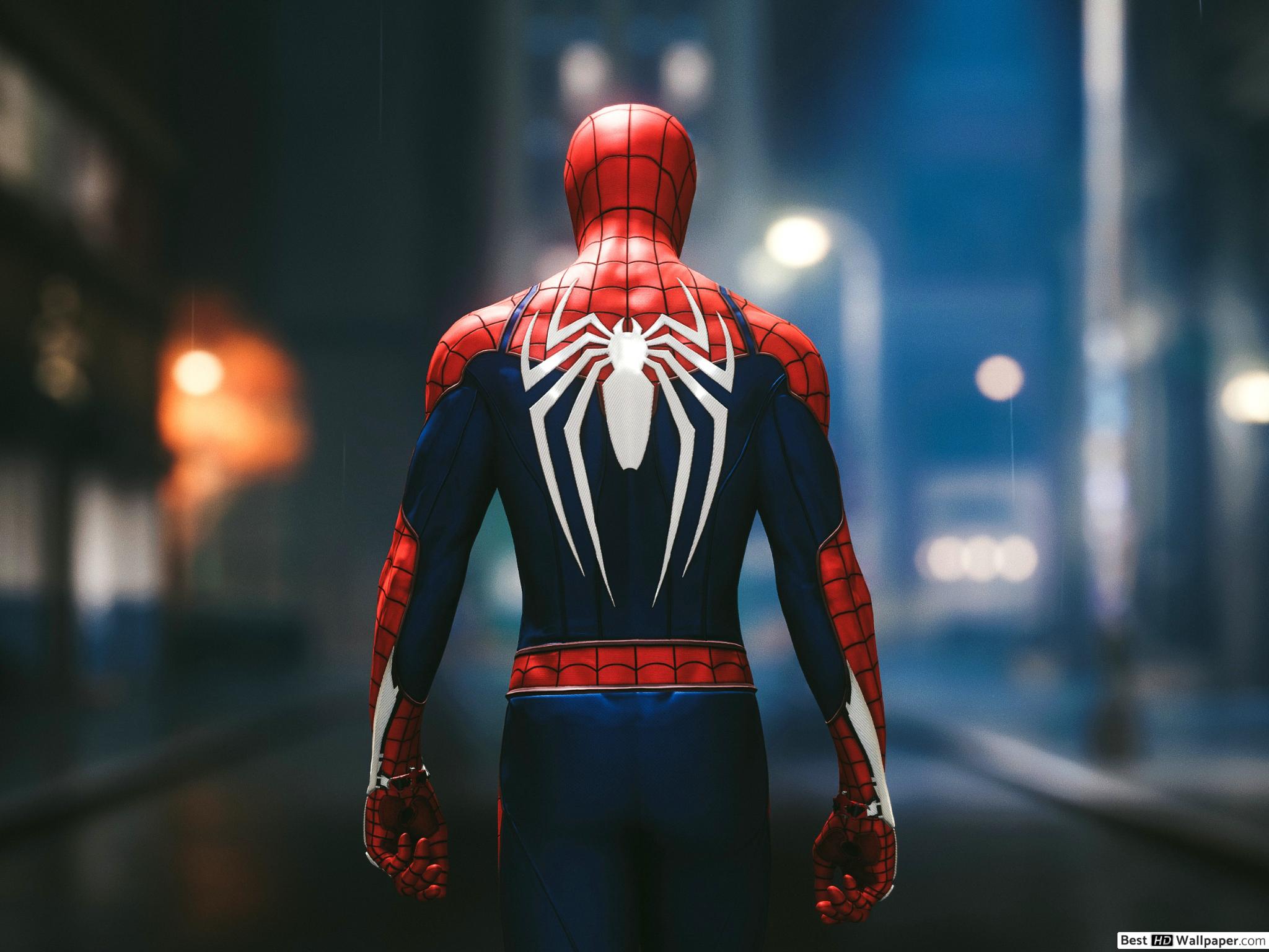Spider Man Wallpaper 4k Hd , HD Wallpaper & Backgrounds