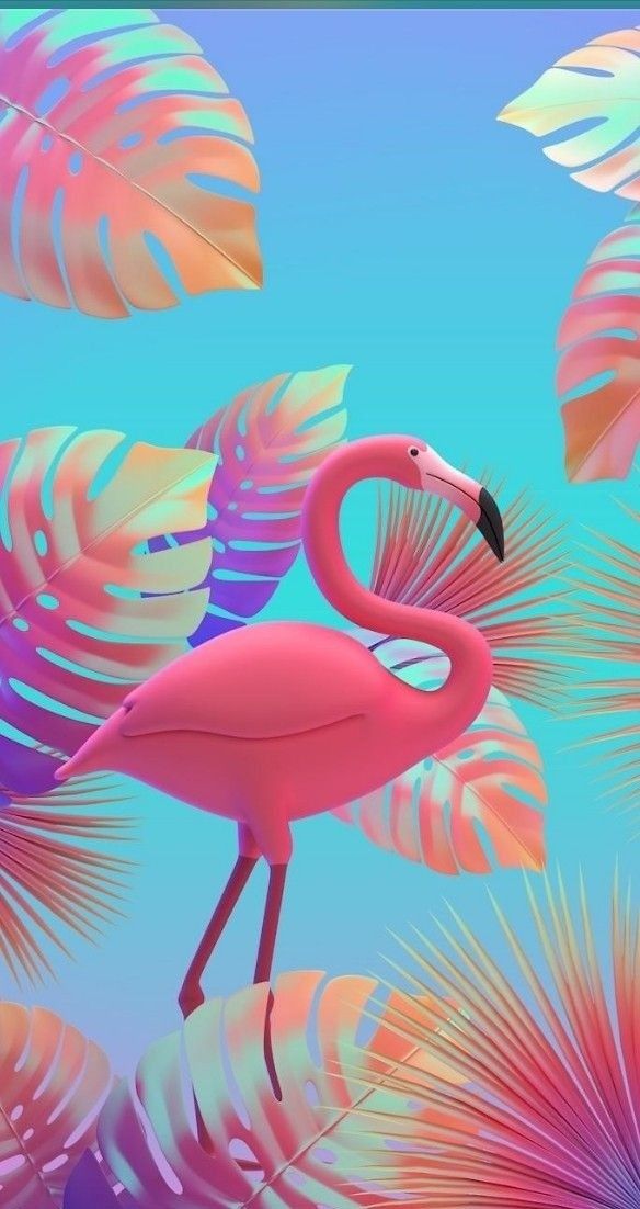 Fondos De Pantalla De Flamingos , HD Wallpaper & Backgrounds