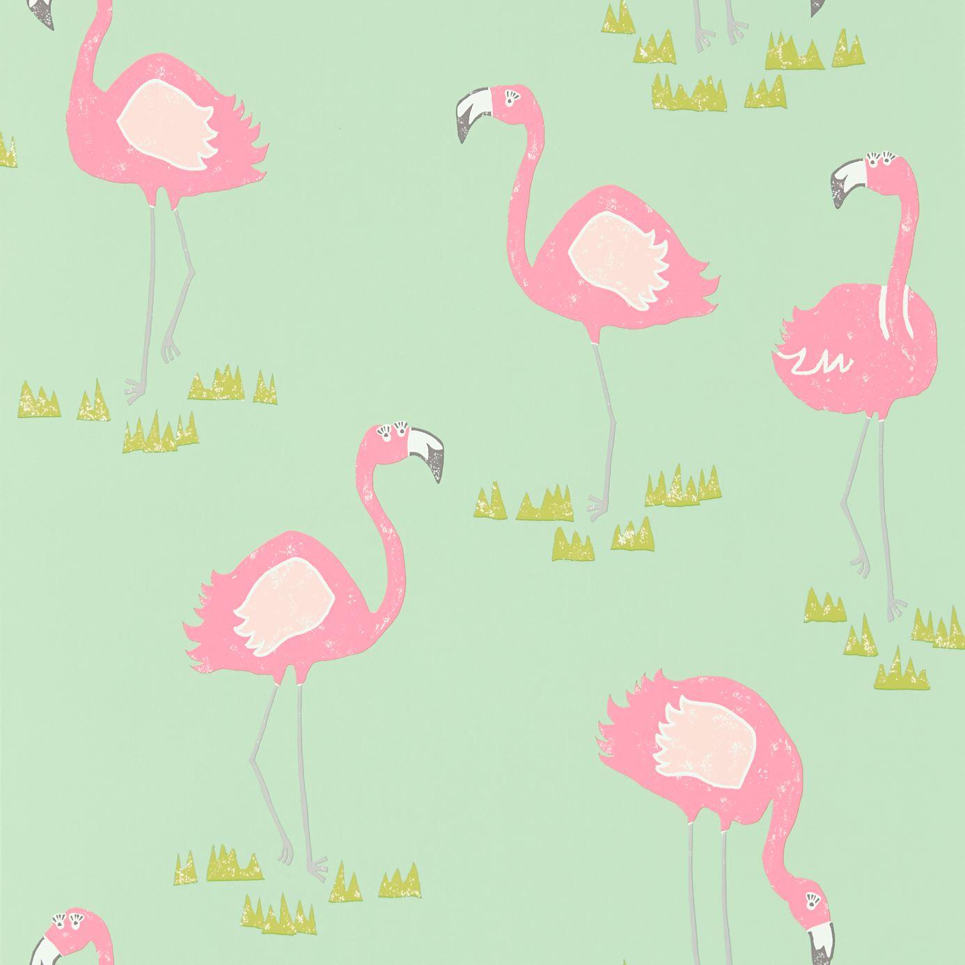 Girls Flamingo , HD Wallpaper & Backgrounds