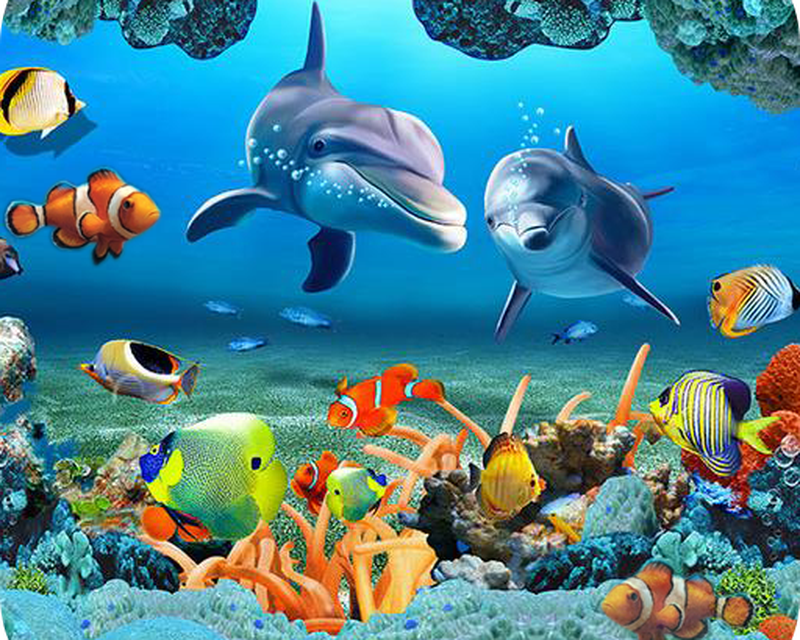 3d Wallpaper Fish Aquarium , HD Wallpaper & Backgrounds