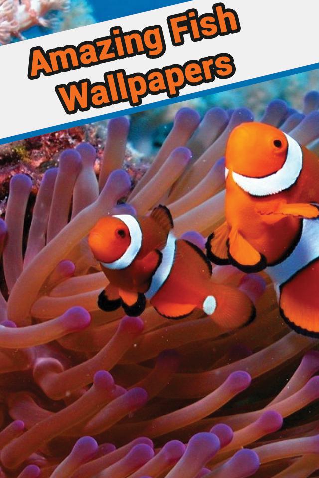 Fish Live Wallpaper Animated Fish Wallpaper For Android - Fishes In Ocean , HD Wallpaper & Backgrounds