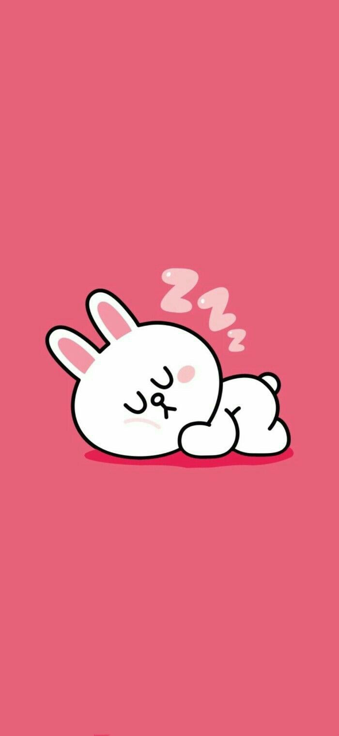 Line Cony , HD Wallpaper & Backgrounds