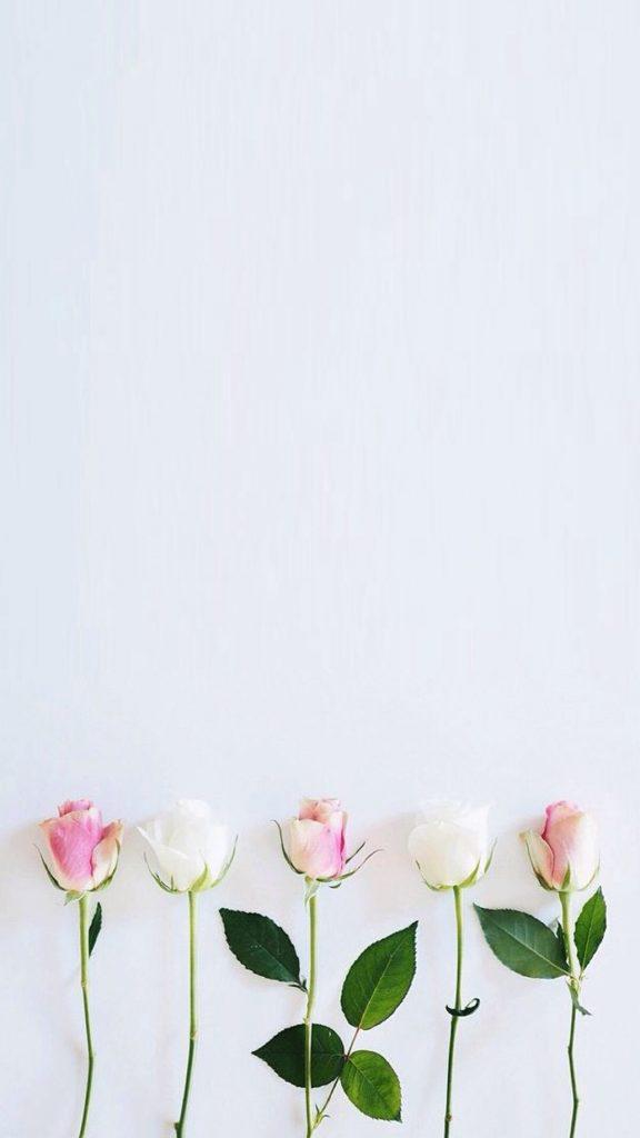 Mobile Wallpaper Simple Flower Wallpaper Iphone Hd Wallpaper Backgrounds Download