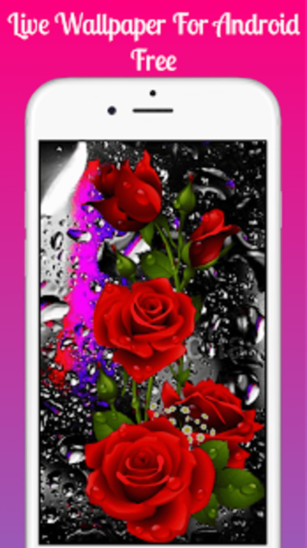 Red Rose Live Wallpaper 2019 Free Red Rose Lwp - Red Rose Frames , HD Wallpaper & Backgrounds