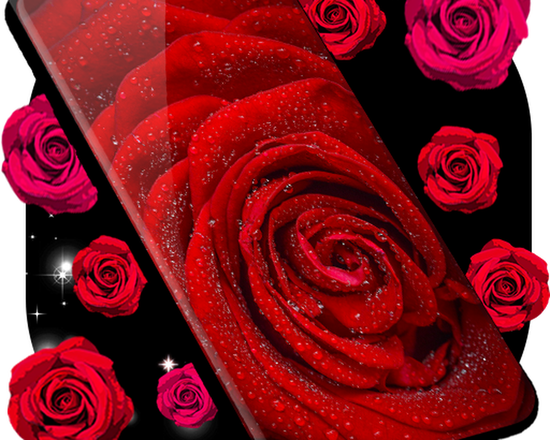 Red Rose Moving , HD Wallpaper & Backgrounds