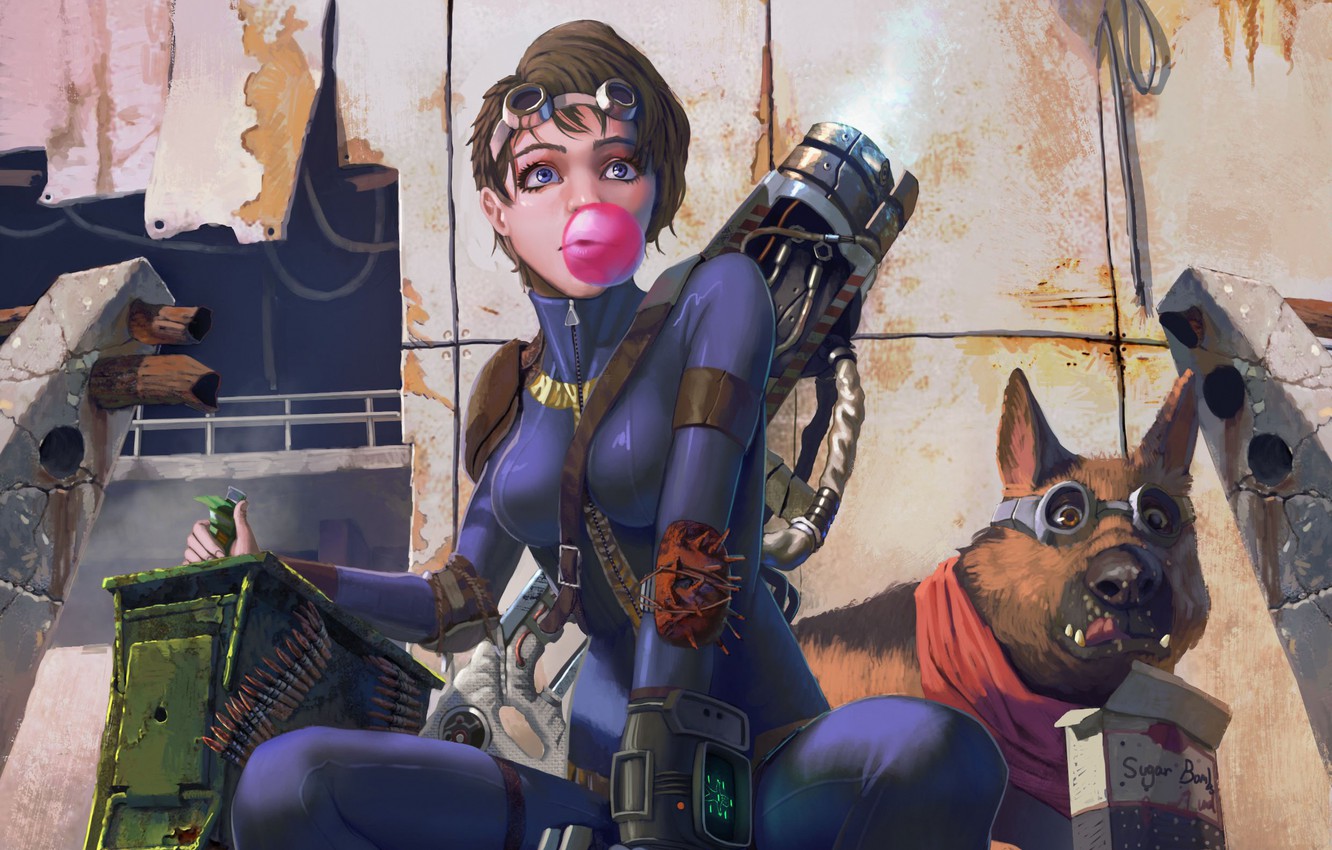 Photo Wallpaper Girl, Weapons, Dog, Art, Cartridges, - Fallout Girl , HD Wallpaper & Backgrounds