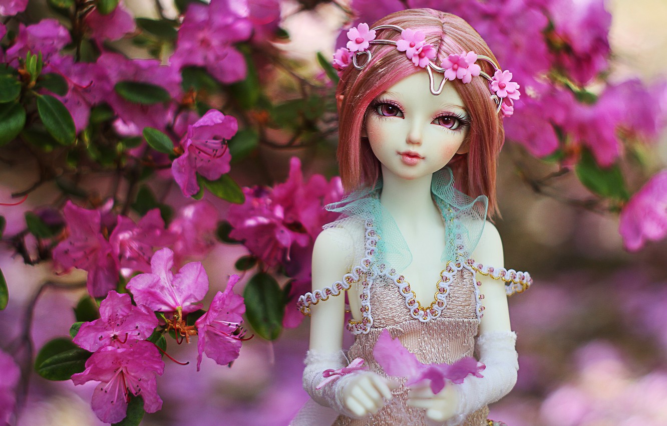 Photo Wallpaper Flowers, Toy, Doll - Flowers Doll , HD Wallpaper & Backgrounds