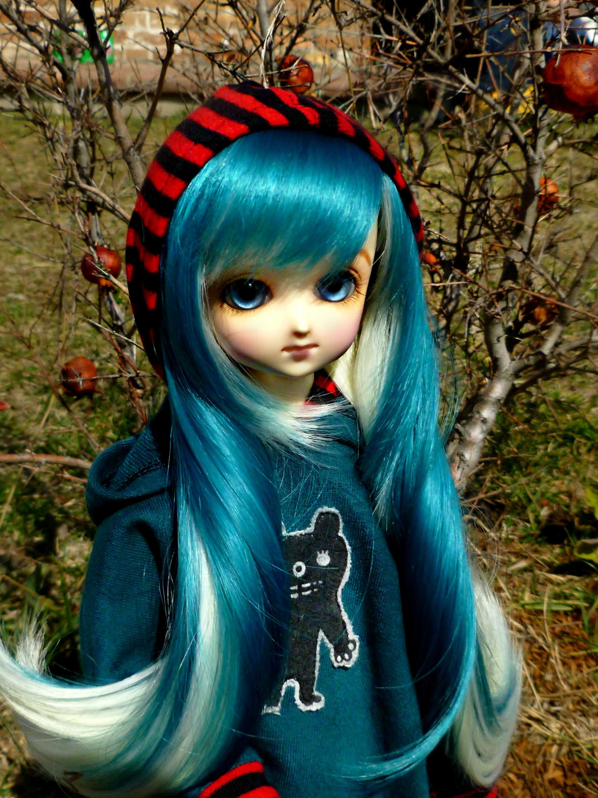 Hd Blue Hair Barbie Doll , HD Wallpaper & Backgrounds