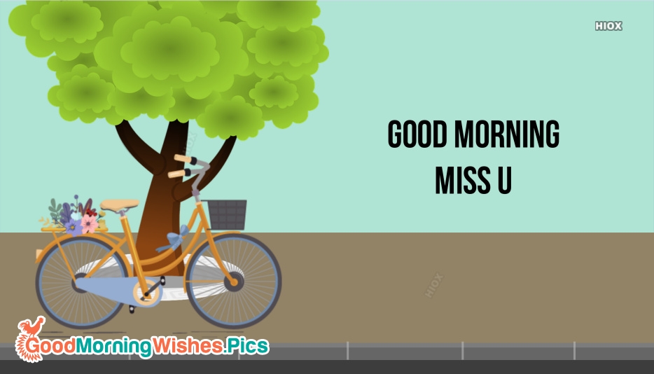 Good Morning And Miss U Wallpaper - Tree , HD Wallpaper & Backgrounds