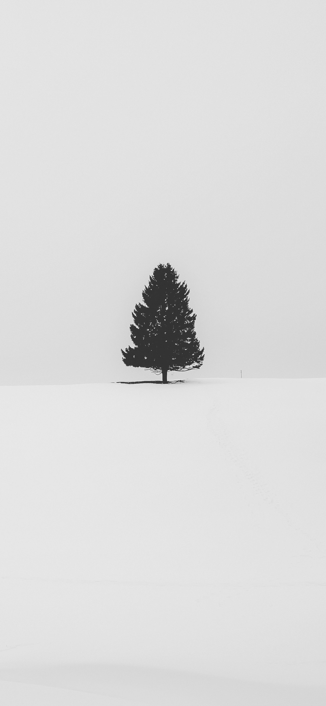 White Iphone Wallpapers - Snow , HD Wallpaper & Backgrounds