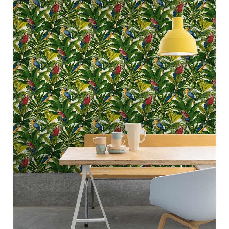 Bird Wallpaper Homebase - Parrot Wallpaper Homebase , HD Wallpaper & Backgrounds