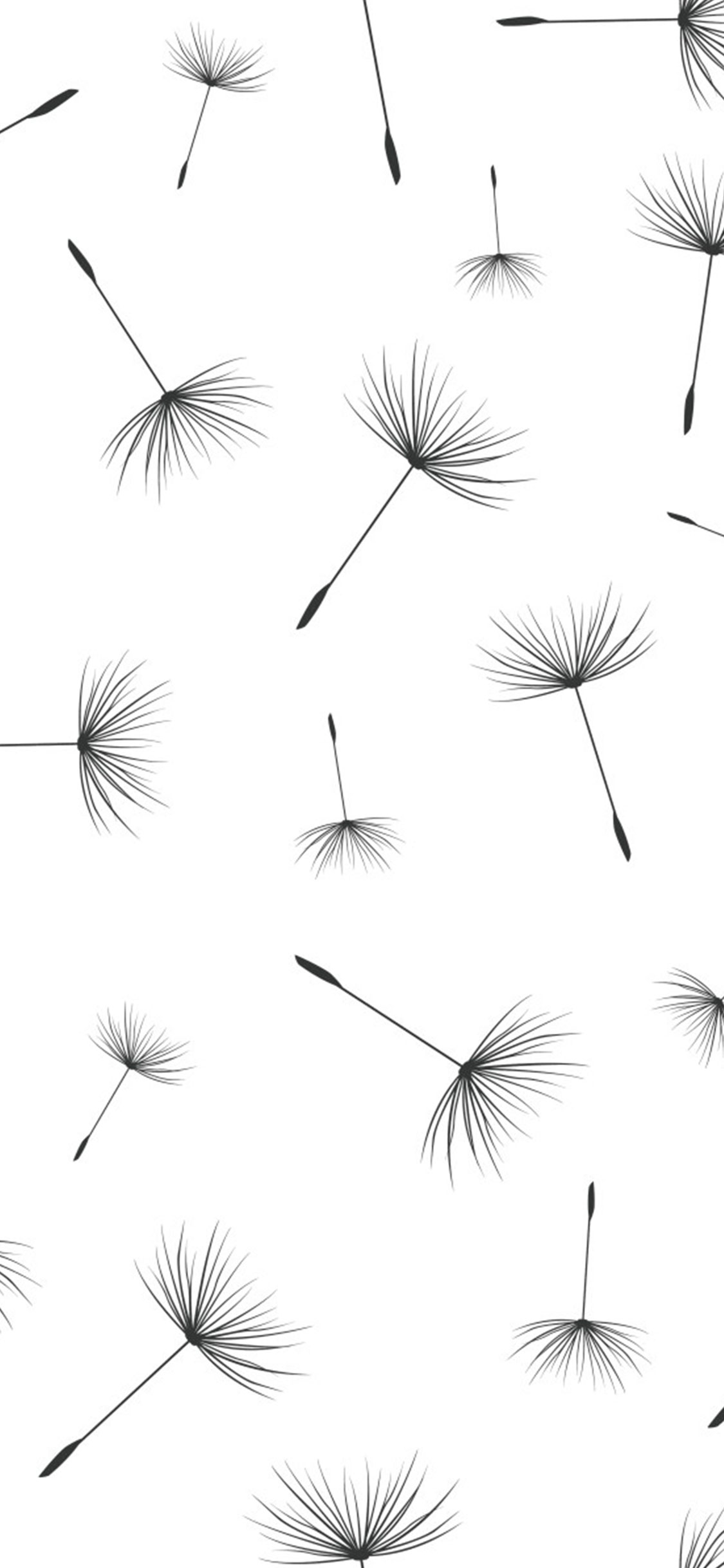 Dandelion - White Wallpapers For Iphone , HD Wallpaper & Backgrounds