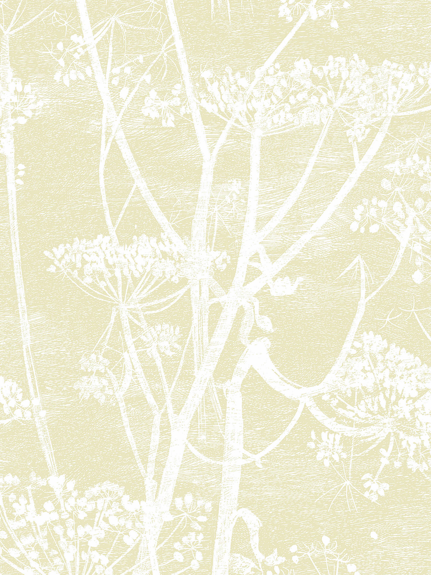 Buy Cole & Son Cow Parsley Wallpaper, Straw On White, - Motif , HD Wallpaper & Backgrounds