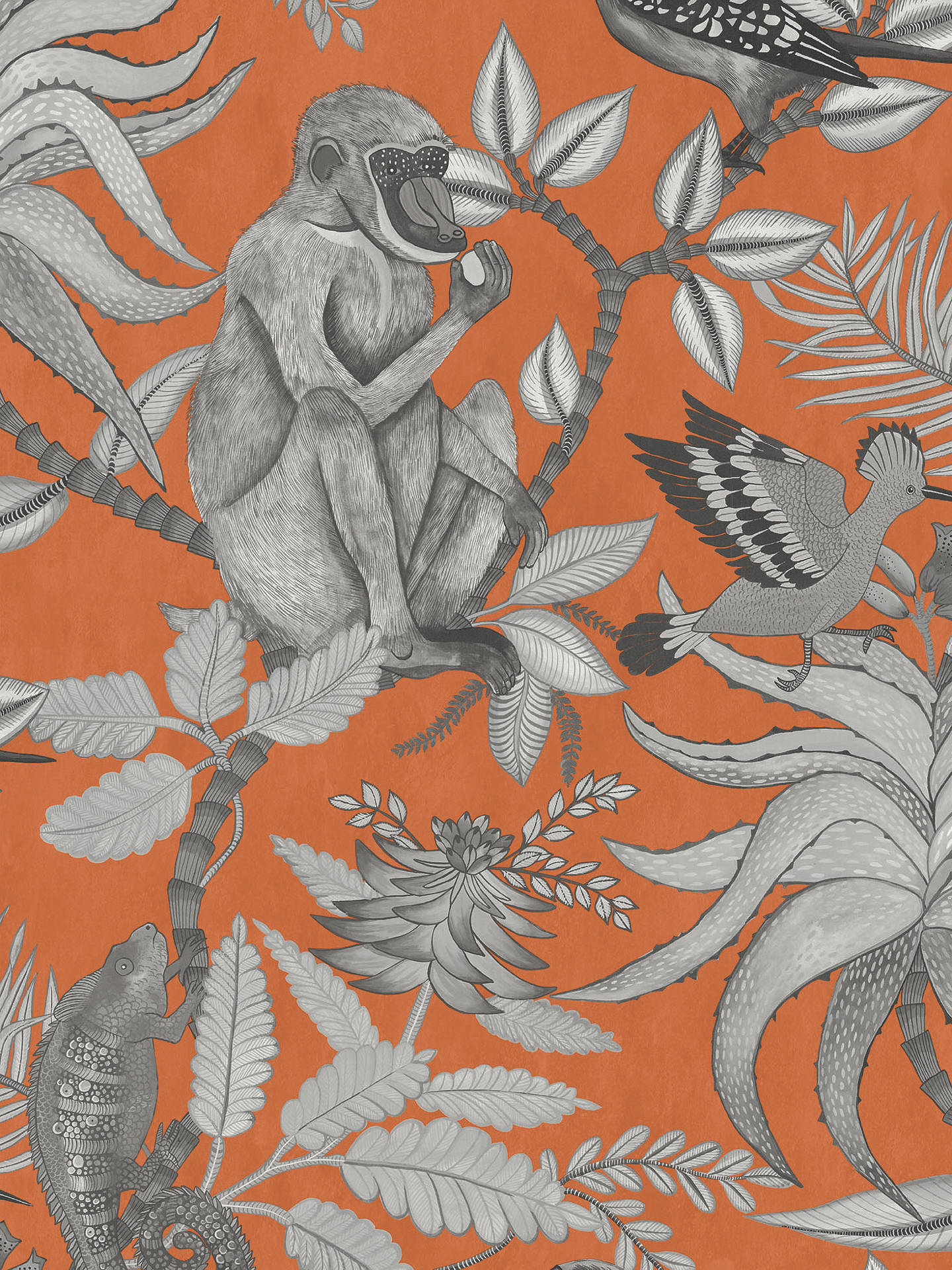 Buy Cole & Son Savuti Wallpaper, 109/1001 Online At - Cole And Son Monkey , HD Wallpaper & Backgrounds
