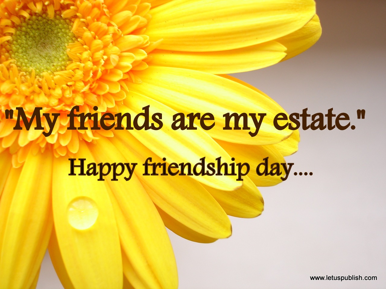 Happy Friendship Day Yellow Flower Wallpaper - Happy Friendship Day In Flower , HD Wallpaper & Backgrounds