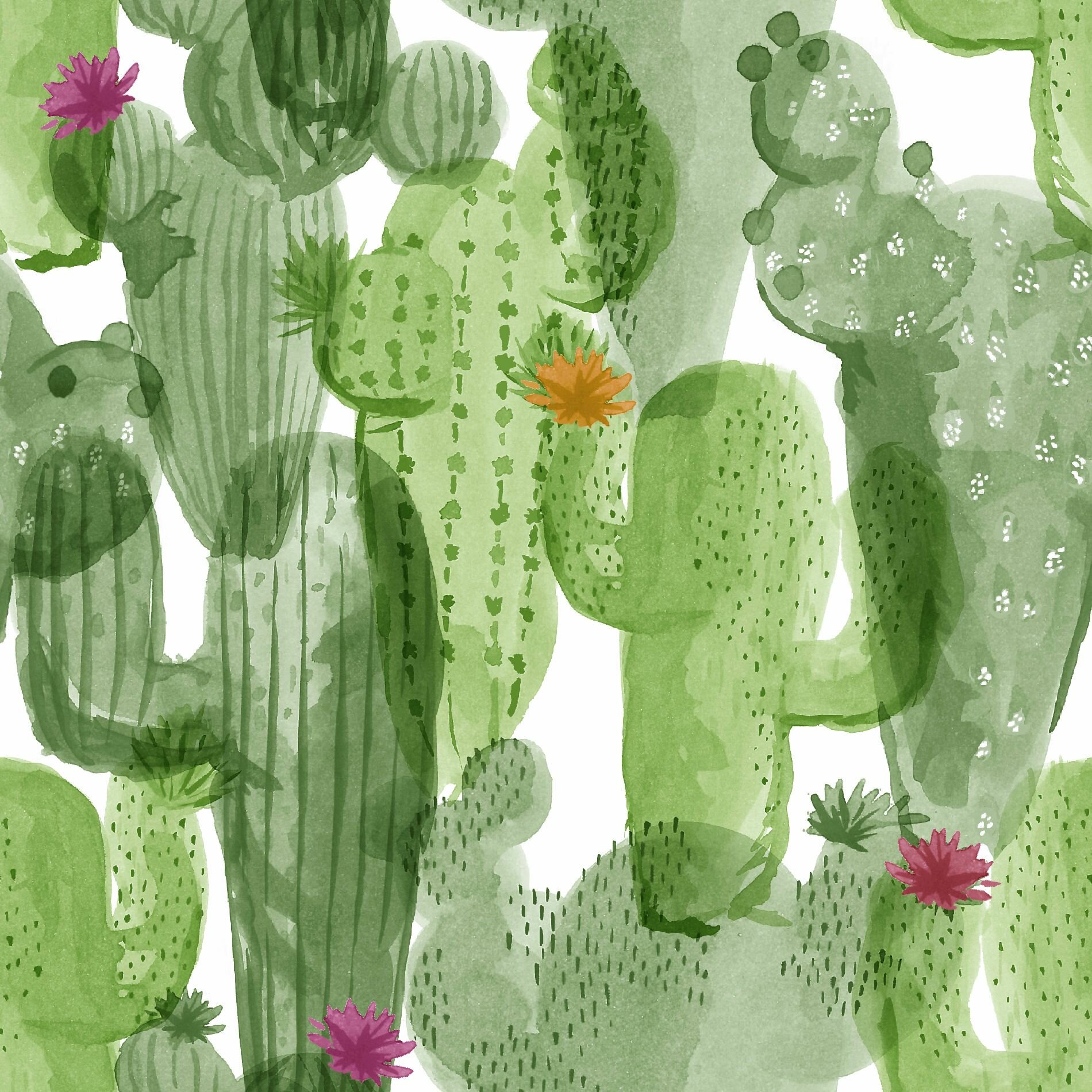 Cactus Wallpaper Uk , HD Wallpaper & Backgrounds
