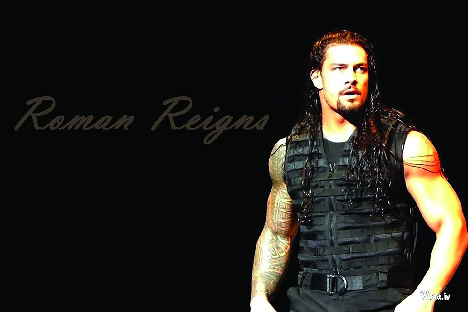 India Fine Art To Tags Roman Reigns Wallpapers Wwe - Roman Reigns , HD Wallpaper & Backgrounds
