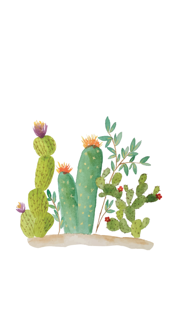 Cactus Wallpaper Iphone , HD Wallpaper & Backgrounds