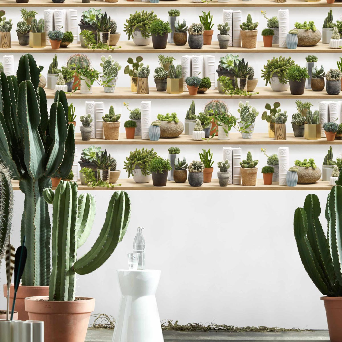Wall Of Cactus Wallpaper - Cactus Shelves , HD Wallpaper & Backgrounds