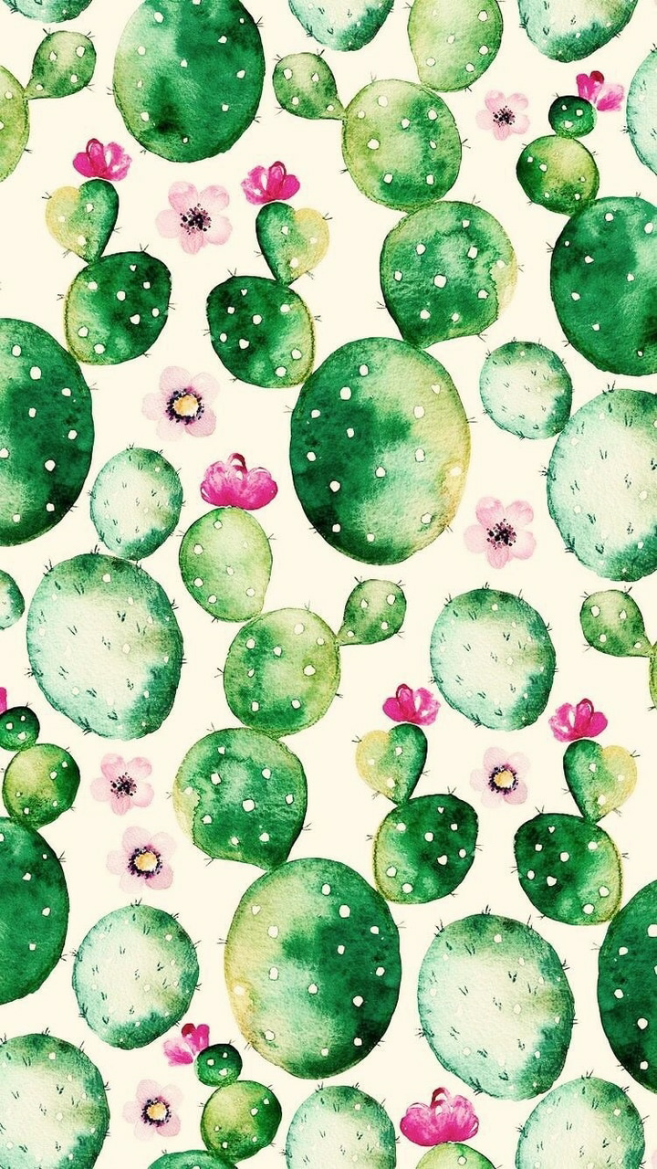 Cactus Wallpaper, Wallpaper, Background And Cactus - Fondo De Nopales , HD Wallpaper & Backgrounds