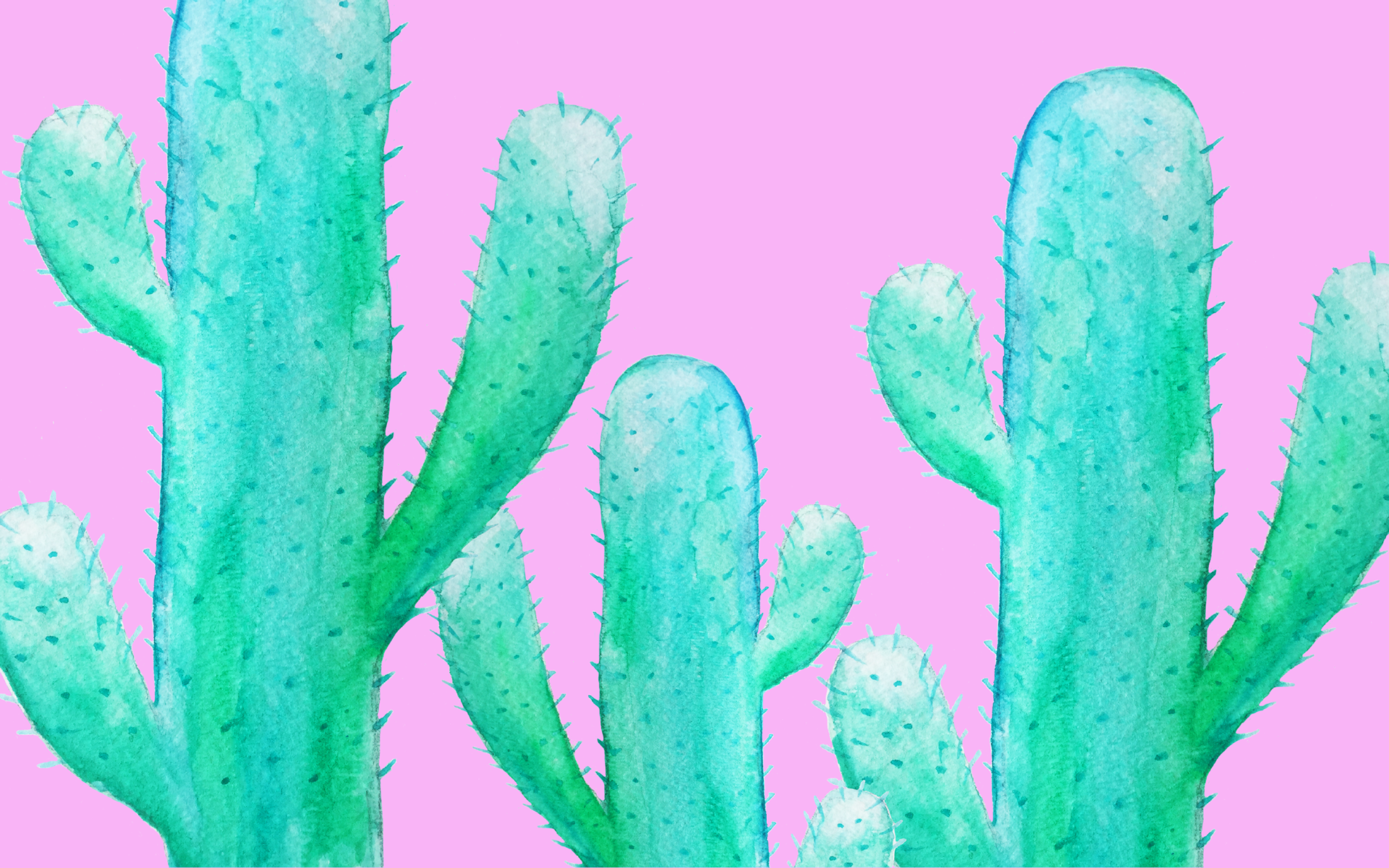 Prickly Pear , HD Wallpaper & Backgrounds