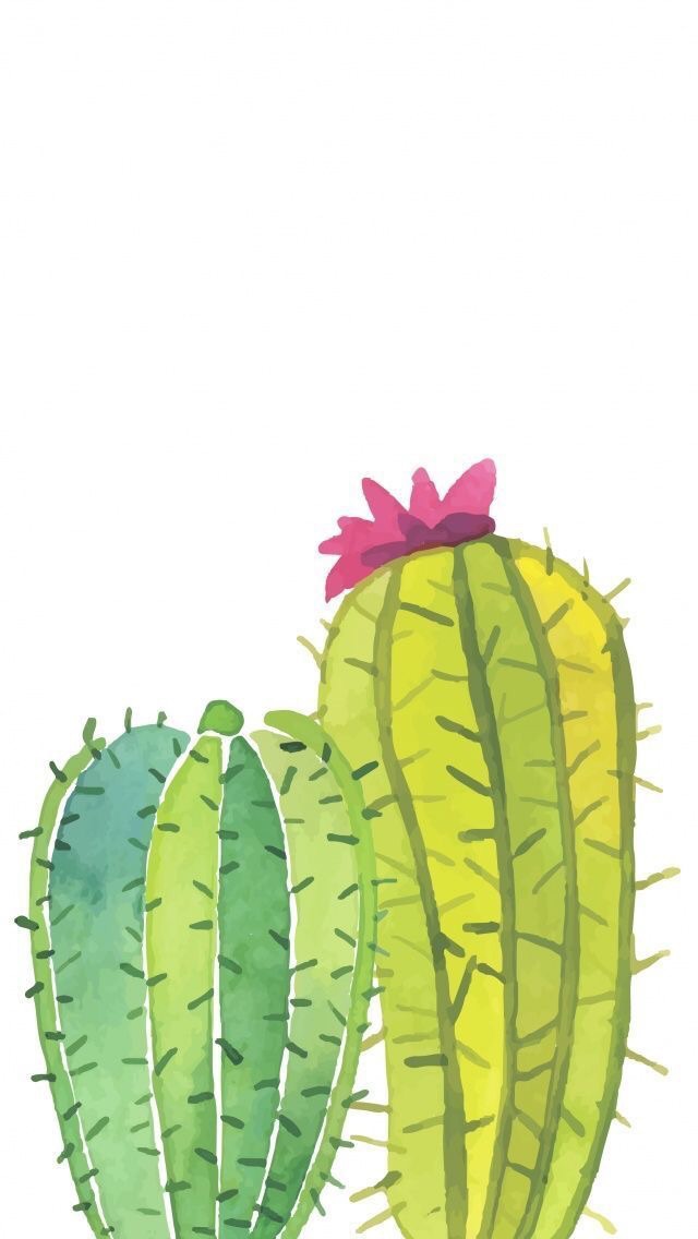 Cactus, Wallpaper, Background And White - Cactus Cartoon Wallpaper Hd , HD Wallpaper & Backgrounds