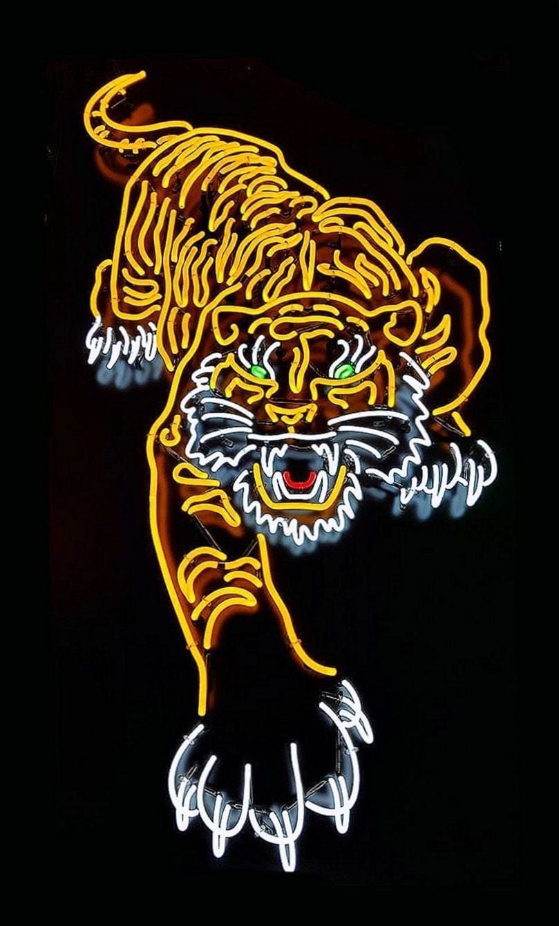 Gucci Tiger , HD Wallpaper & Backgrounds