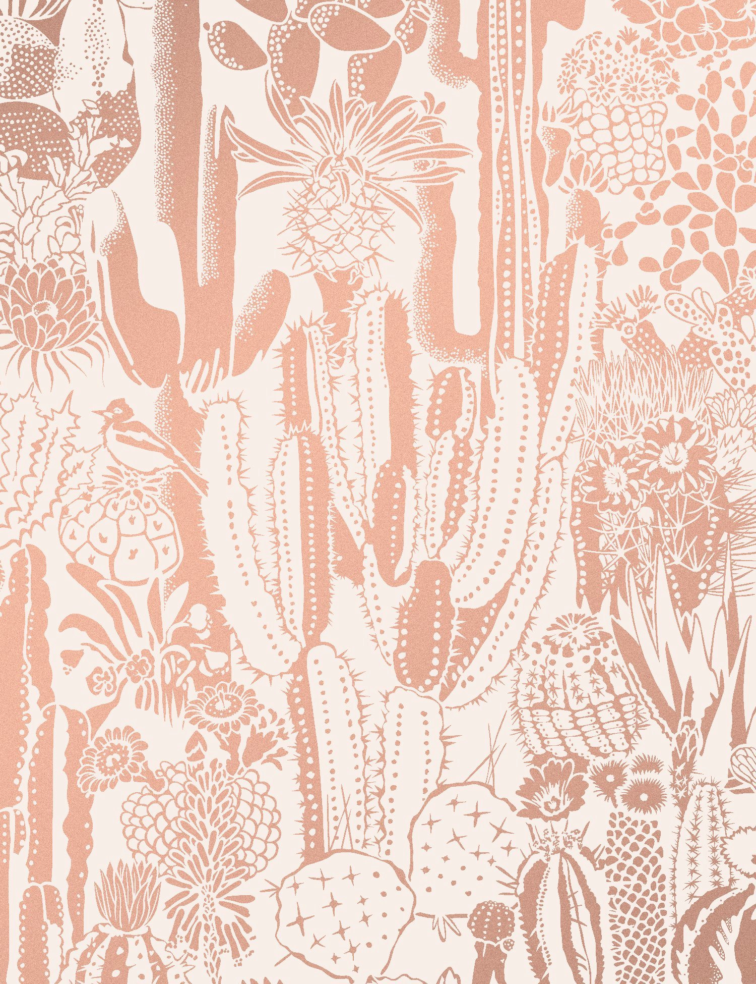 Cactus Spirit Rosegold 
 Class - Cactus Spirit , HD Wallpaper & Backgrounds
