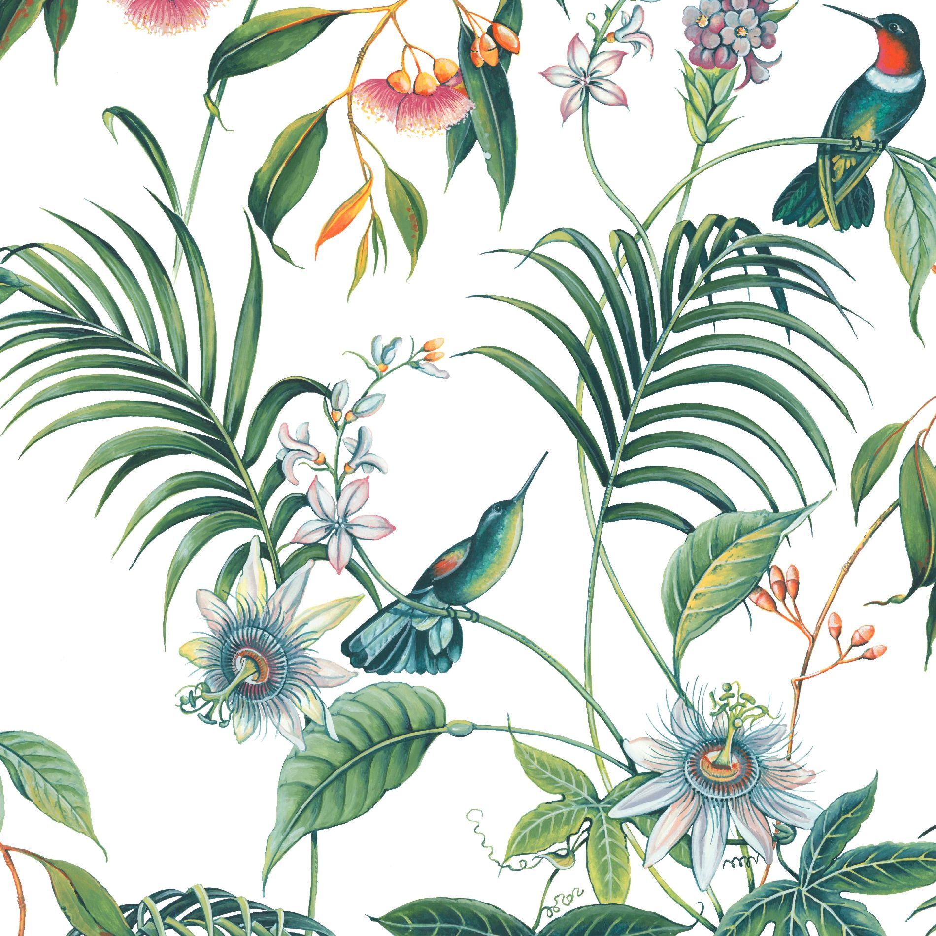 Adilah White Tropical Floral Wallpaper, , Wallpaperit - Super Fresco Easy , HD Wallpaper & Backgrounds