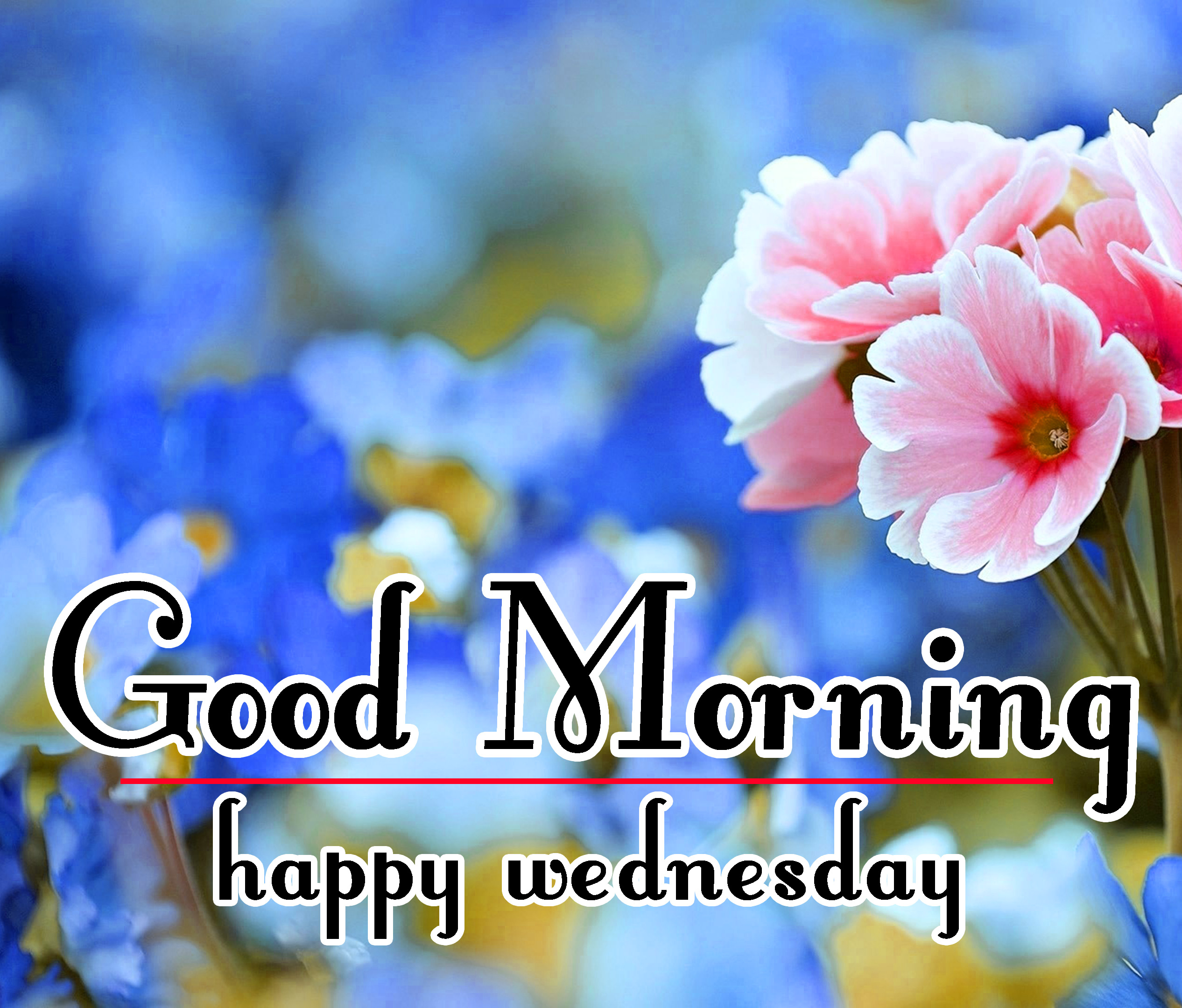Good Morning Wednesday Wallpaper Download - Good Morning New Happy Wednesday , HD Wallpaper & Backgrounds