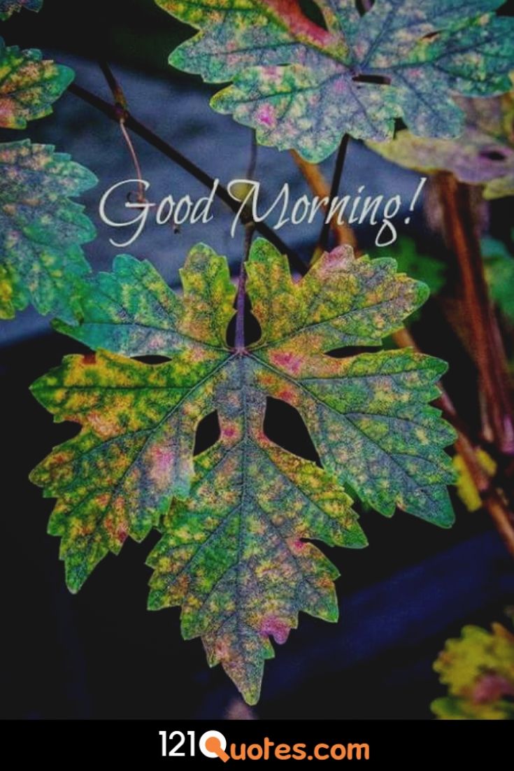 Good Morning Images Wallpaper Photo Pics Download With - New Images Good Morning , HD Wallpaper & Backgrounds
