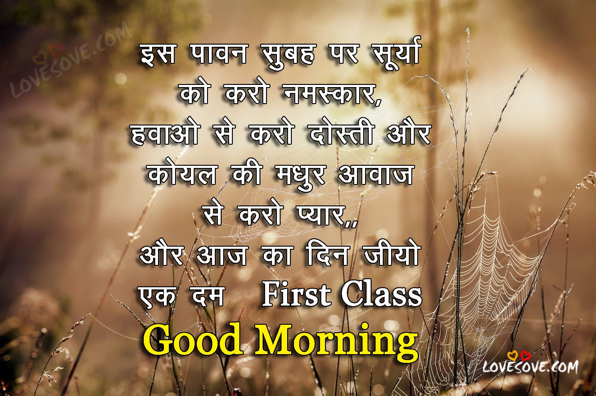 Is Paavan Subah Par Soorya Love Shayari Lovesove Copy - Whatsapp Good Morning Hindi Shayri , HD Wallpaper & Backgrounds