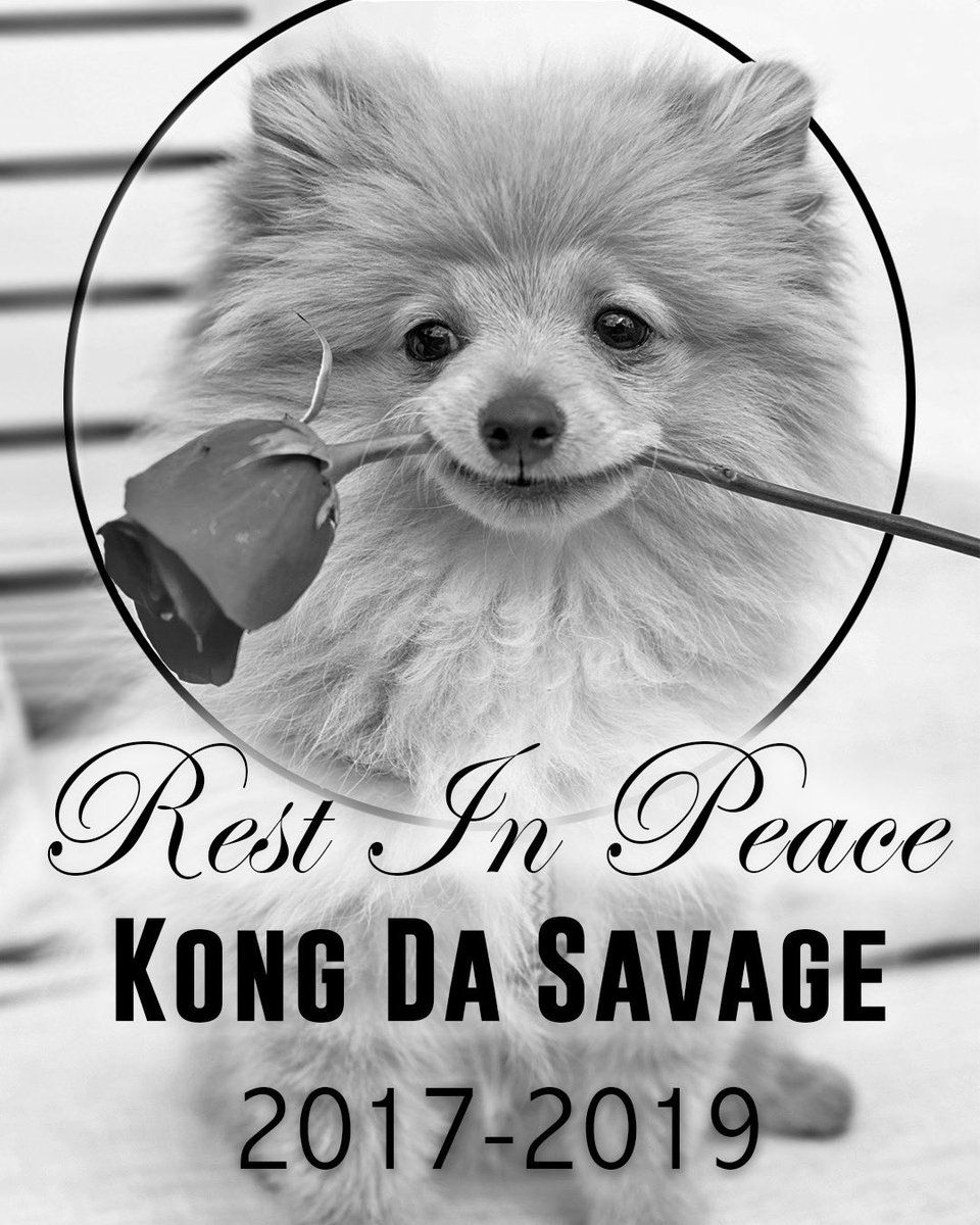 Kong Da Savage Logan Paul Death Dog Coyote - Kong Logan Paul Dog , HD Wallpaper & Backgrounds