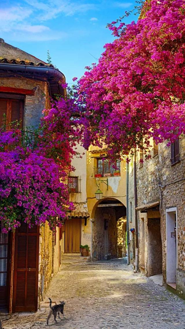 Old Town Of Provence , HD Wallpaper & Backgrounds