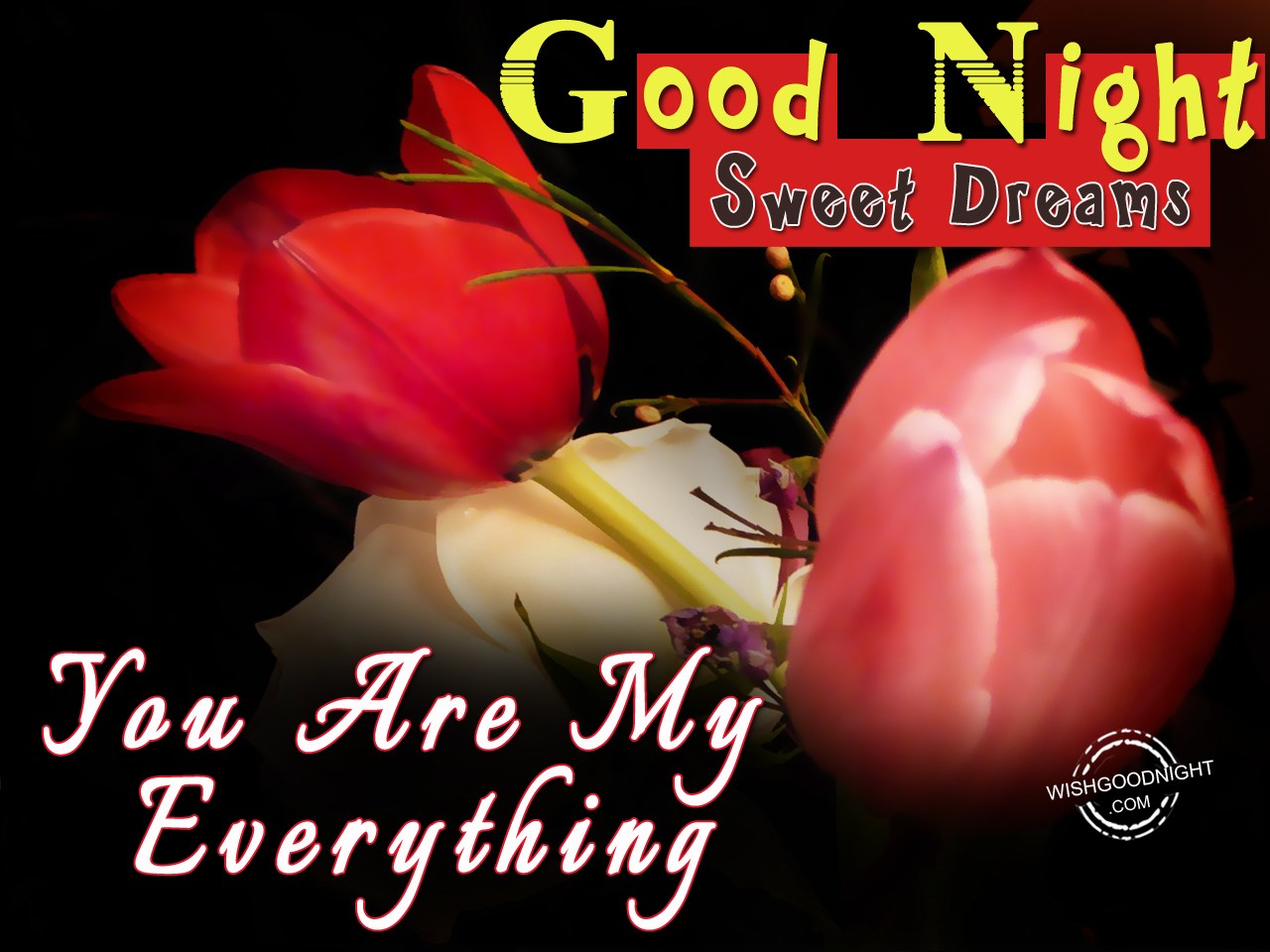 Good Night My Loved , HD Wallpaper & Backgrounds