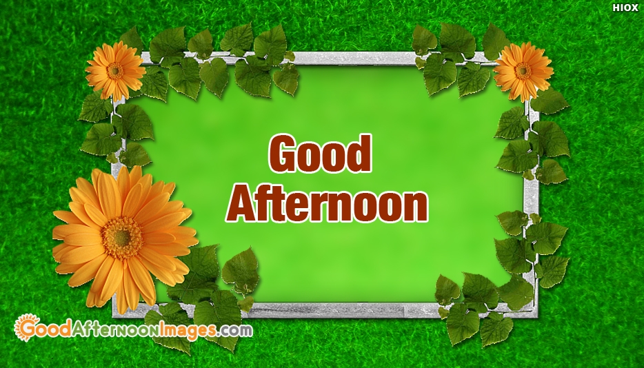 Gud Afternoon Wallpaper - Good Afternoon Green Tea , HD Wallpaper & Backgrounds