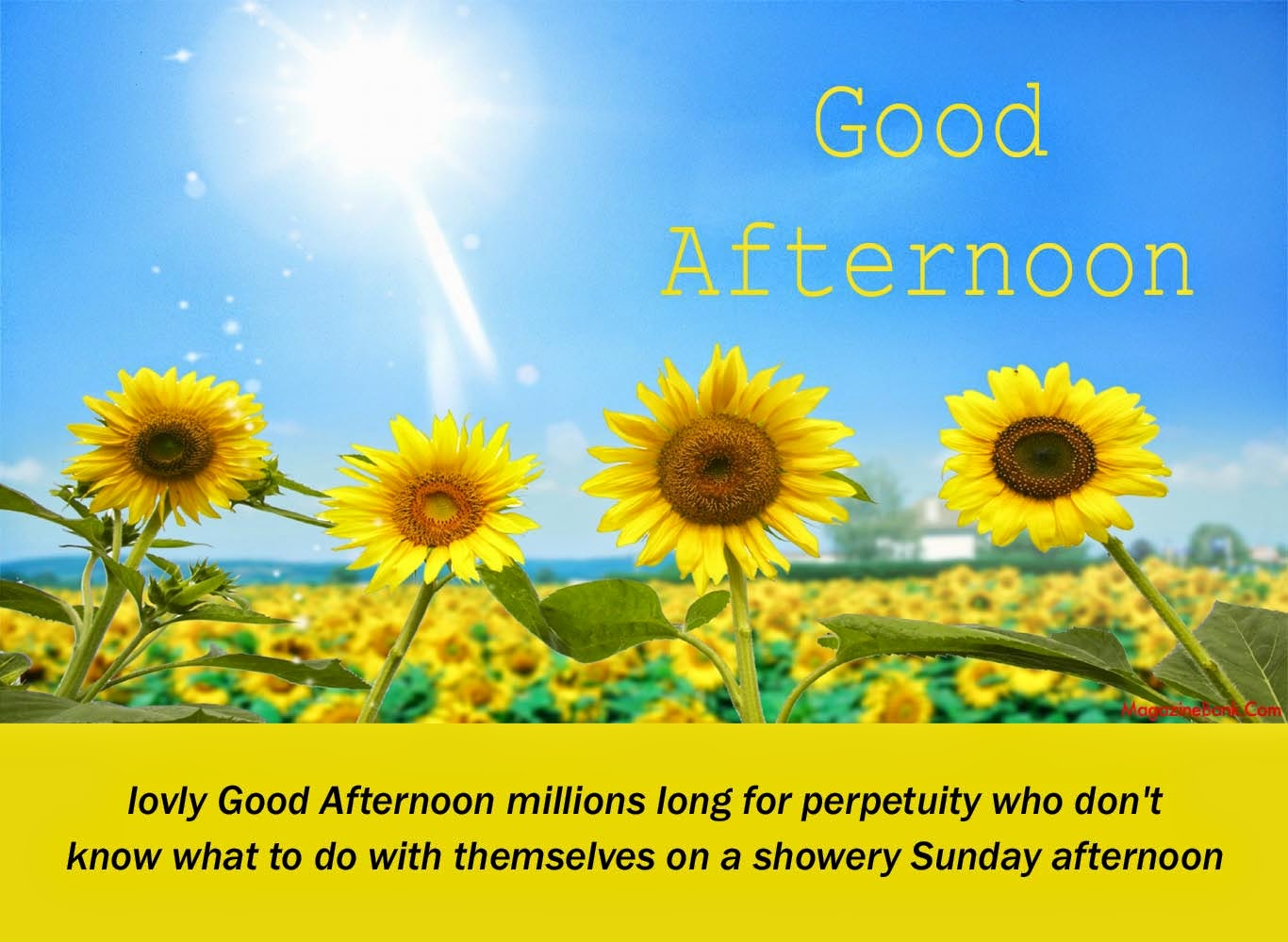 Good Afternoon Quotes Good Afternoon Quotes Images - Good Afternoon Quotes , HD Wallpaper & Backgrounds