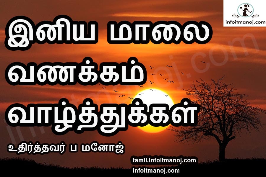 Good Evening Wishes Kavithai Images In Tamil, Good - Tree , HD Wallpaper & Backgrounds