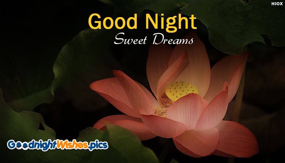 Good Night Images Hd Download - Good Night Wishes Hd , HD Wallpaper & Backgrounds