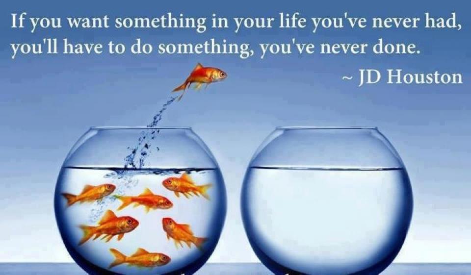 If You Want Something You Never Had Quotes , HD Wallpaper & Backgrounds