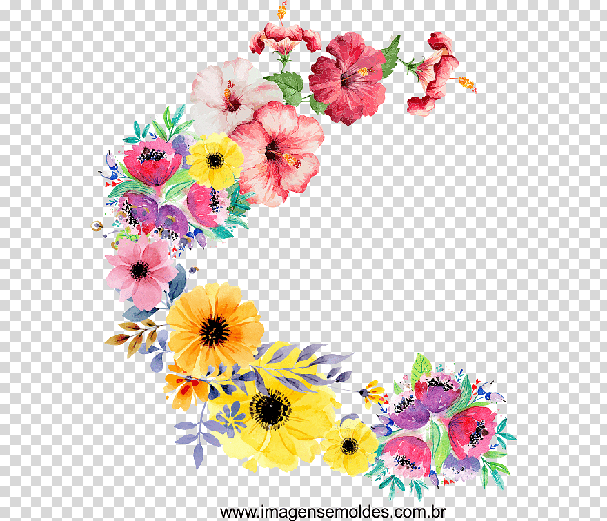 Floral Design Cut Flowers, Flower, Flower Arranging, - Flores Png , HD Wallpaper & Backgrounds