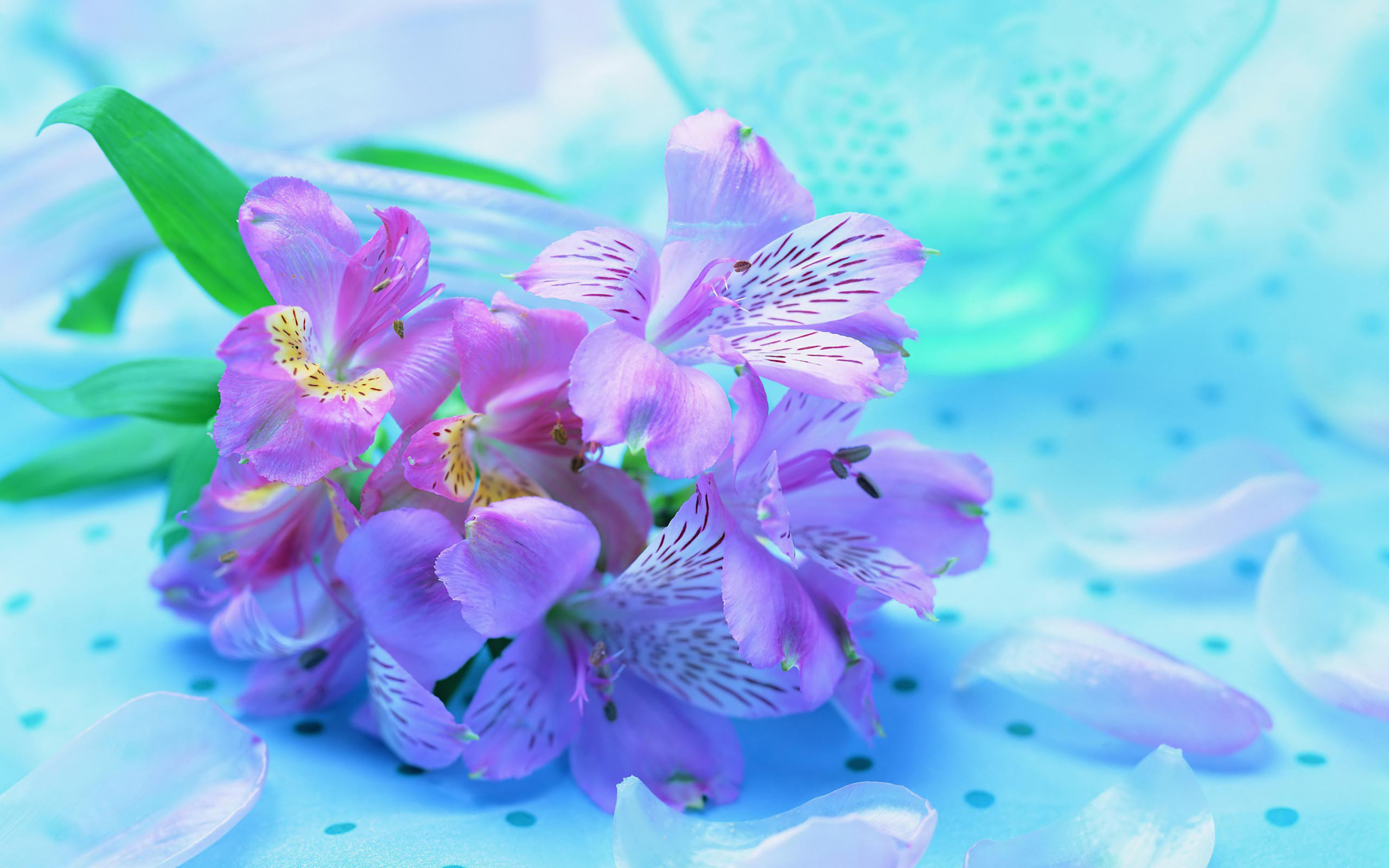 Desktop Wallpapers Free Flowers - Purple Flowers Desktop Background Resolution High , HD Wallpaper & Backgrounds
