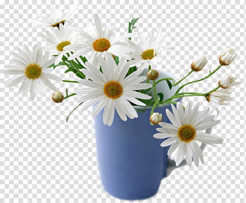 Flower Desktop Common Daisy Rose White, Good Morning - White Daisy In A Vase , HD Wallpaper & Backgrounds