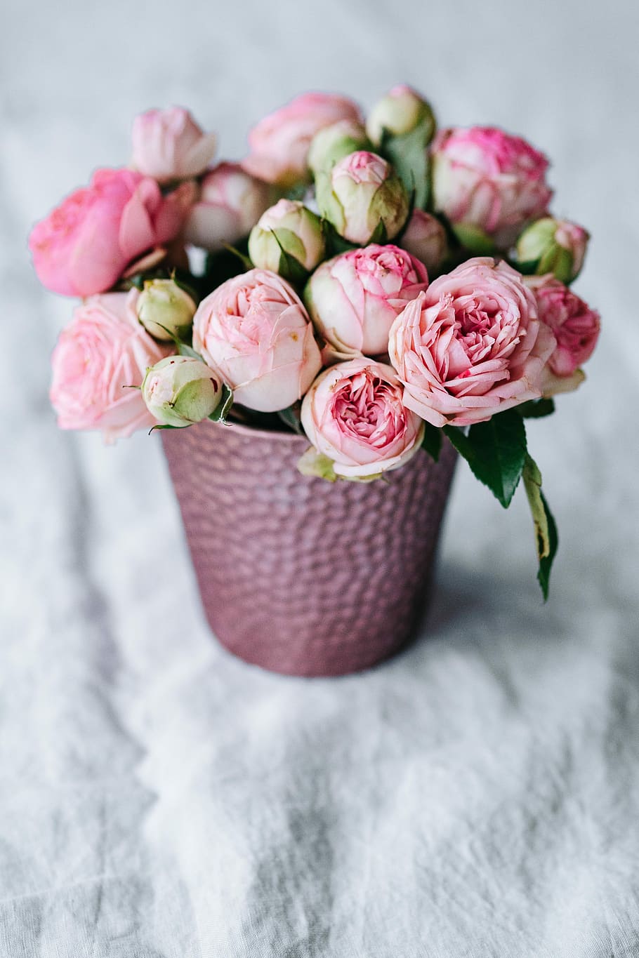 Pink Roses In Pot, Flowers, Flora, Lovely Flowers, - Днем Рождения Главного Бухгалтера , HD Wallpaper & Backgrounds