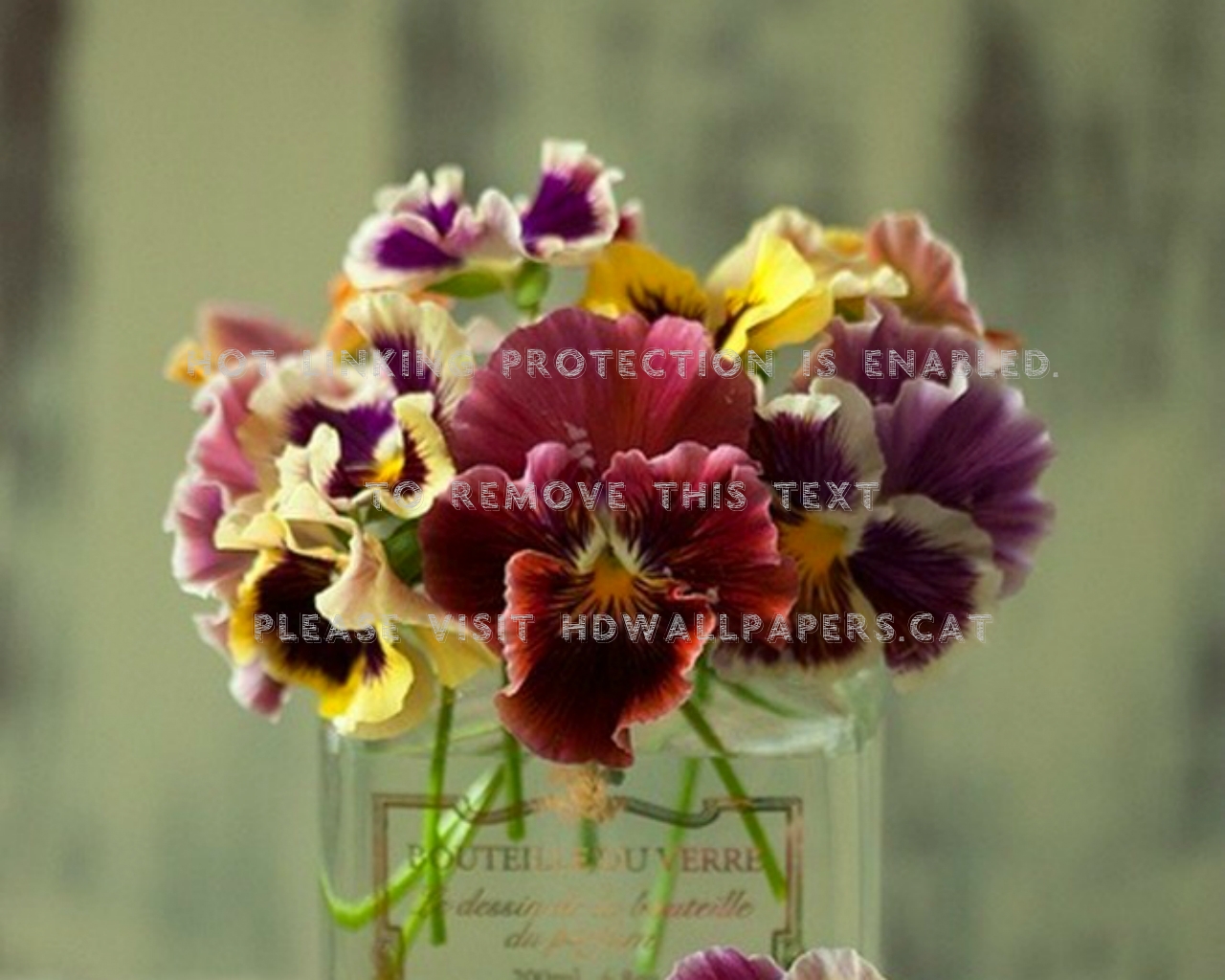 Lovely Flowers Glass Petals Bloom Nature - Δημουλα Βαζοντασ Τα Λουλουδια Στο Νερο , HD Wallpaper & Backgrounds