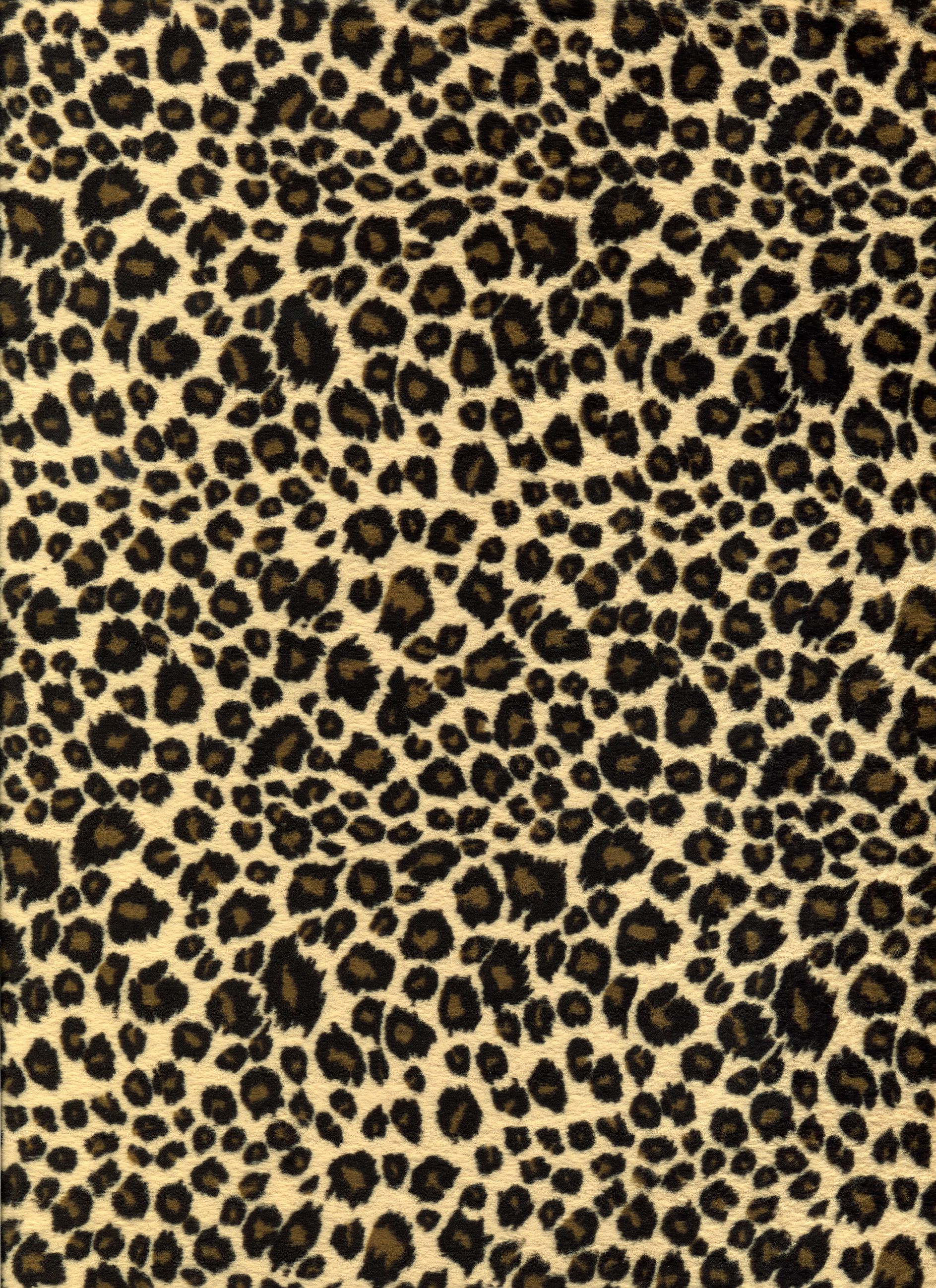 Leopard Print Background , HD Wallpaper & Backgrounds